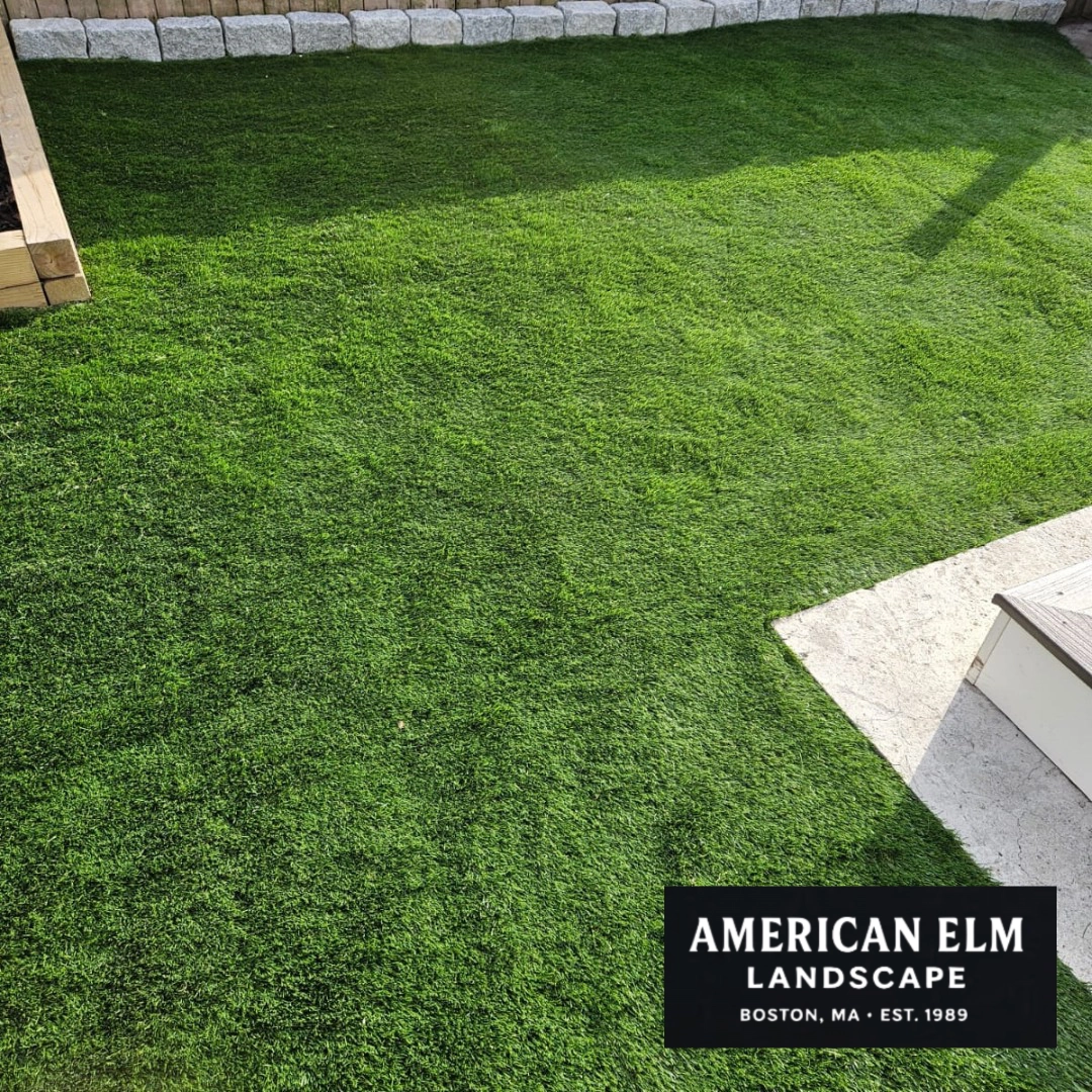 Small-Yard Makeovers